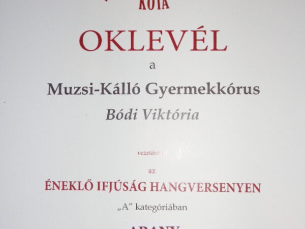 A Muzsi-Kálló Gyermekkórus az Éneklő Ifjúságon Arany minősítést szerzett